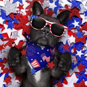 150GSM Mesh Jersey Pet Dog Neck Gaiter (Full Dye Sublimation)